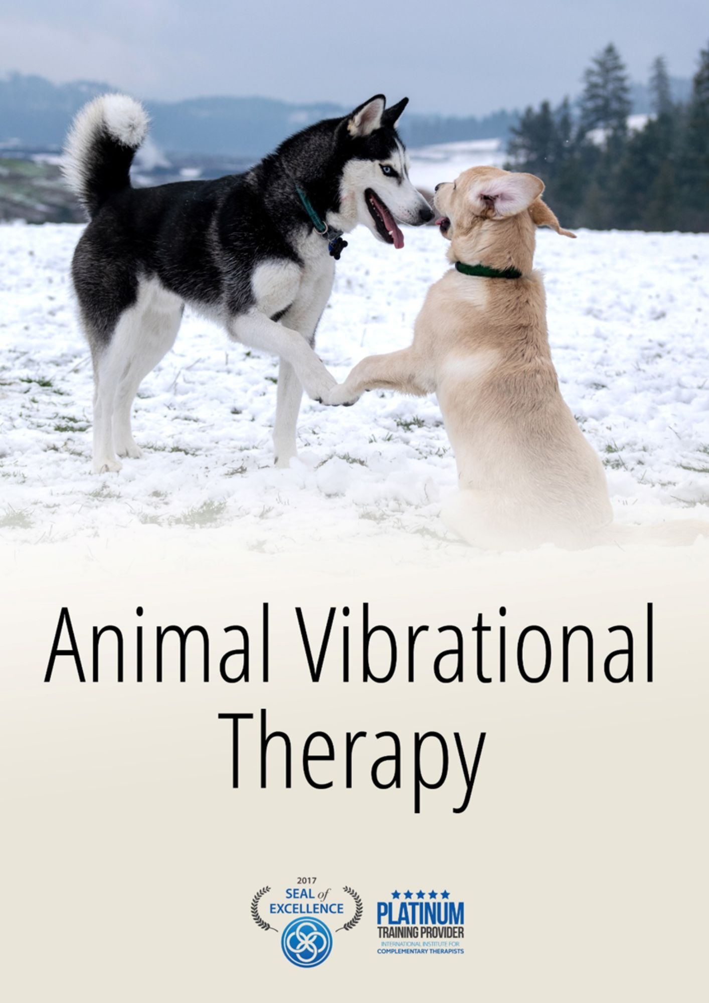 Animal energy healing
